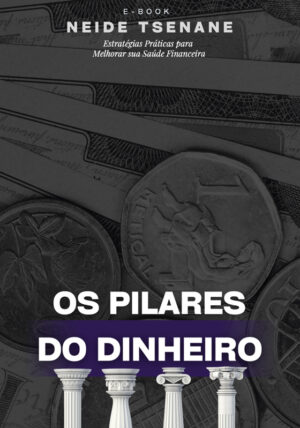 OS PILARES DO DINHEIRO
