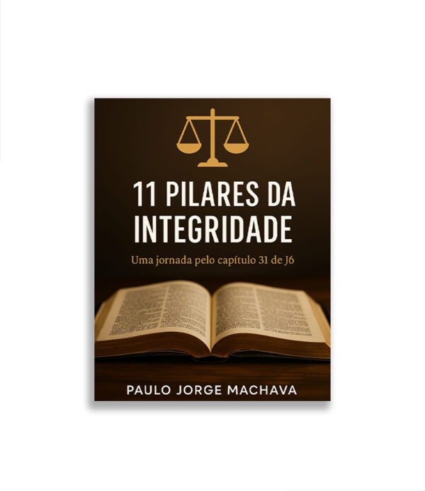 11 Pilares da Integridade